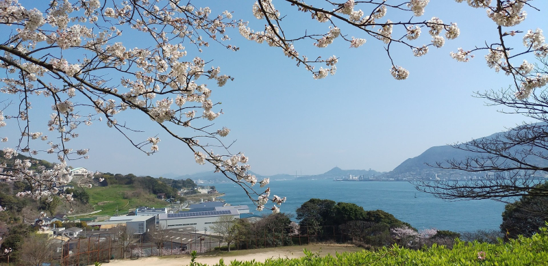 2020.04.04彦島南公園